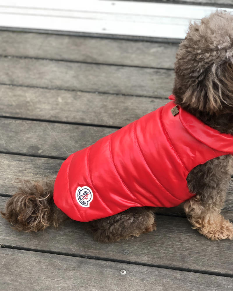 Mondog 犬用ダウン3way レッド 在庫商品 Moncler モンクレール ダウン専門通販サイトmstore